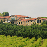 Azienda Agricola Giovanni Rosso, di Rosso Davide