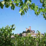 Azienda Agricola Giovanni Rosso, di Rosso Davide