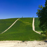 Azienda Agricola Giovanni Rosso, di Rosso Davide