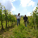 Azienda Agricola Giovanni Rosso, di Rosso Davide