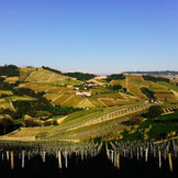 Azienda Agricola Giovanni Rosso, di Rosso Davide
