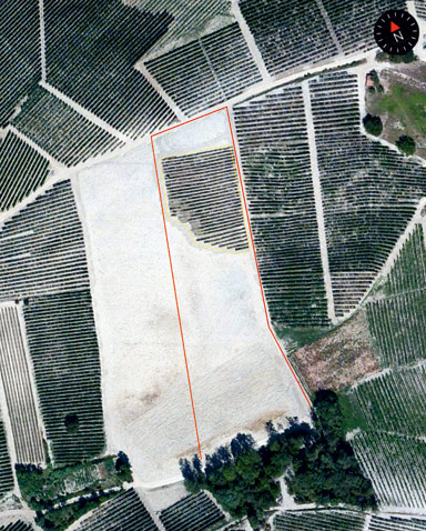 Vigneti Giovanni Rosso